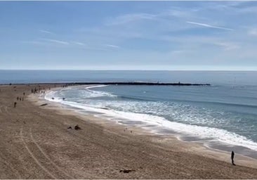 El bonito baile de un grupo de delfines disfrutado desde la playa de Santa María del Mar de Cádiz