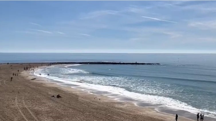 El bonito baile de un grupo de delfines disfrutado desde la playa de Santa María del Mar de Cádiz