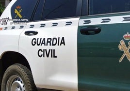 Roban más de una tonelada de aguacates de distintas fincas de Cádiz