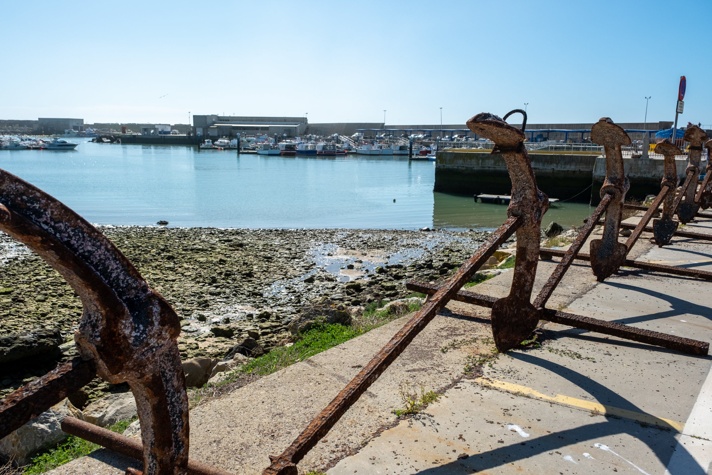 Ya es primavera en las almadrabas de Cádiz