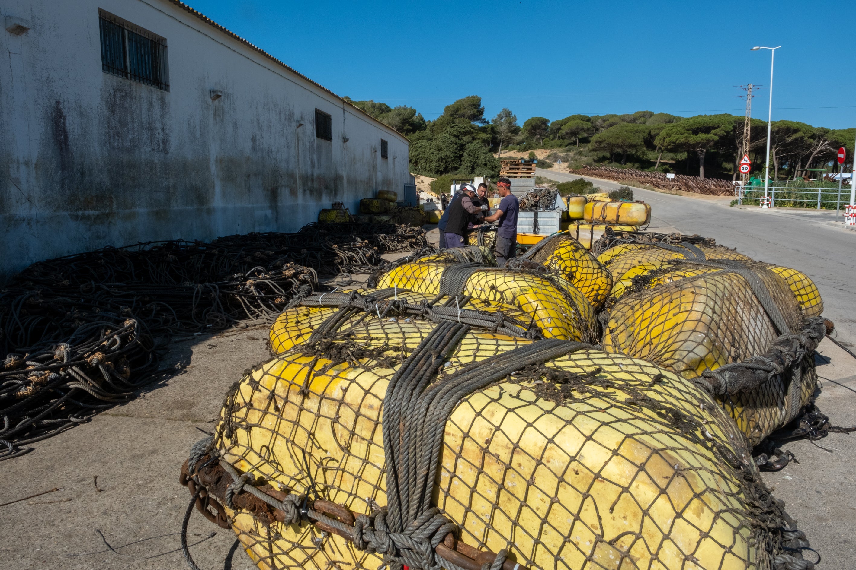 Ya es primavera en las almadrabas de Cádiz