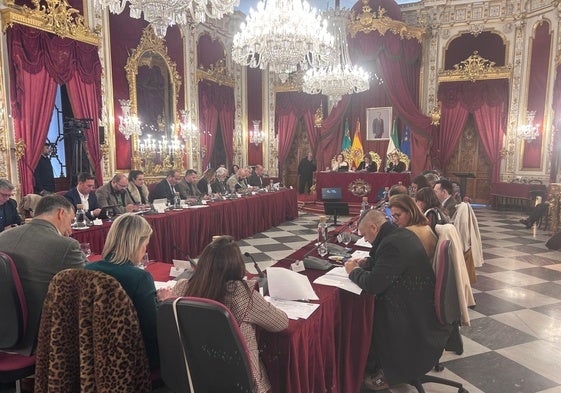 Pleno de la Diputación Provincial de Cádiz