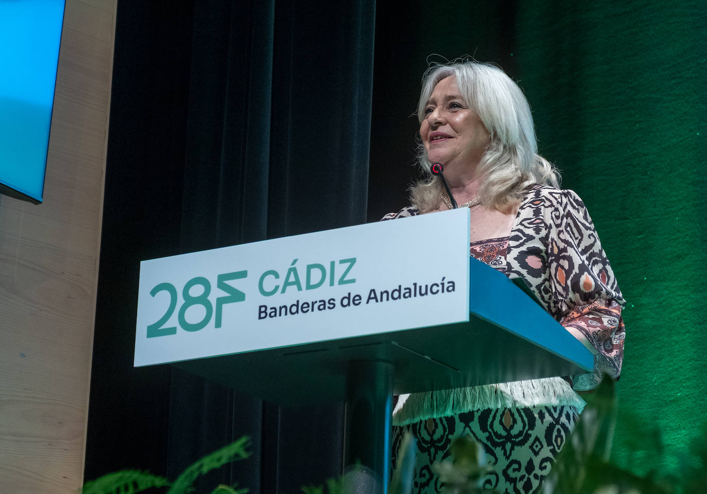 Fotos: La Junta entrega en Rota las Banderas de Andalucía 2025 de Cádiz