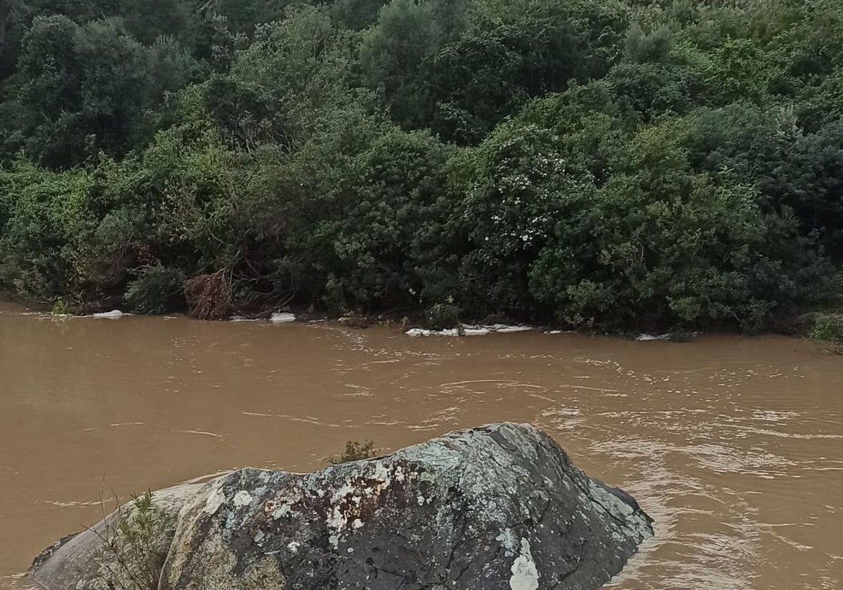 Río Hozgarganta a su paso por Jimena