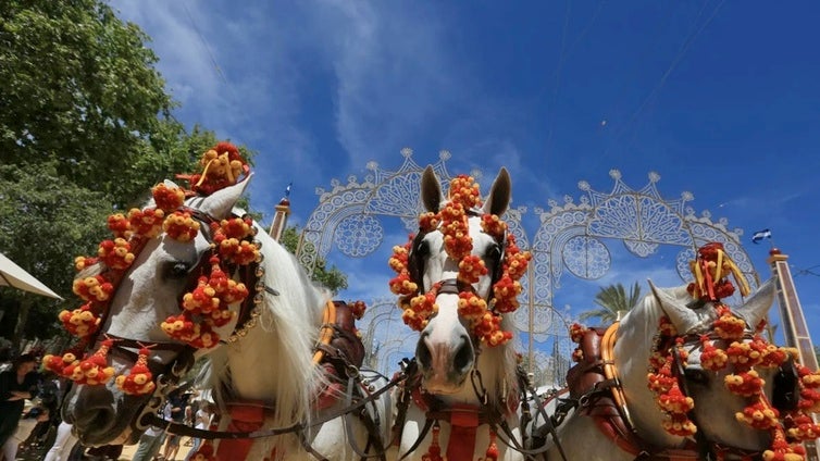 La Feria del Caballo de Jerez se moderniza: nueva iluminación LED y estructuras más seguras