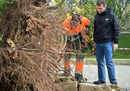 El alcalde de Cádiz visita zonas de la ciudad dañadas por el temporal