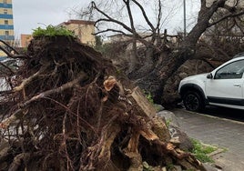 La borrasca Jana deja huella en la capital gaditana