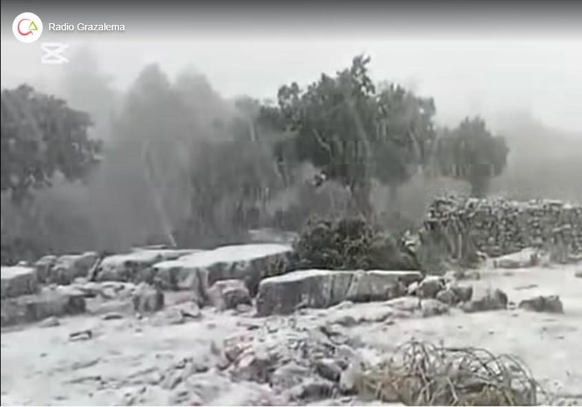 La borrasca Jana lleva la nieve a la Sierra de Grazalema: preciosa estampa