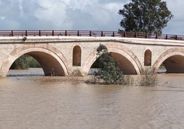 El caudal del río Guadalete se estabiliza pero la incertidumbre continúa para los vecinos de Jerez