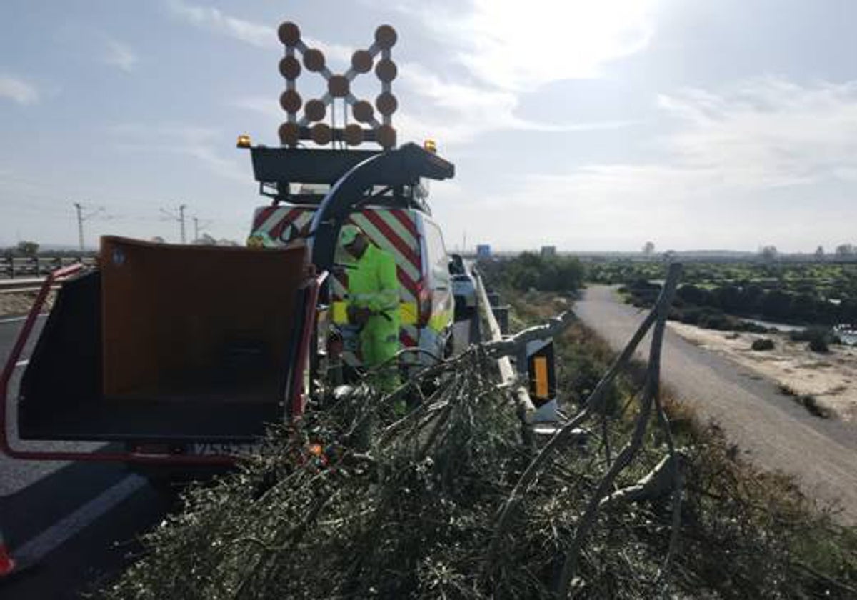 Retirada de lodo y ramas de algunas carreteras de Cádiz como consecuencia del temporal