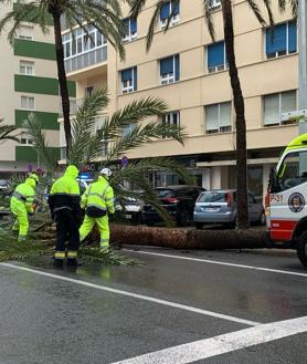 Imagen secundaria 2 - La circulación ha quedado cortada en la Avenida principal de Cádiz