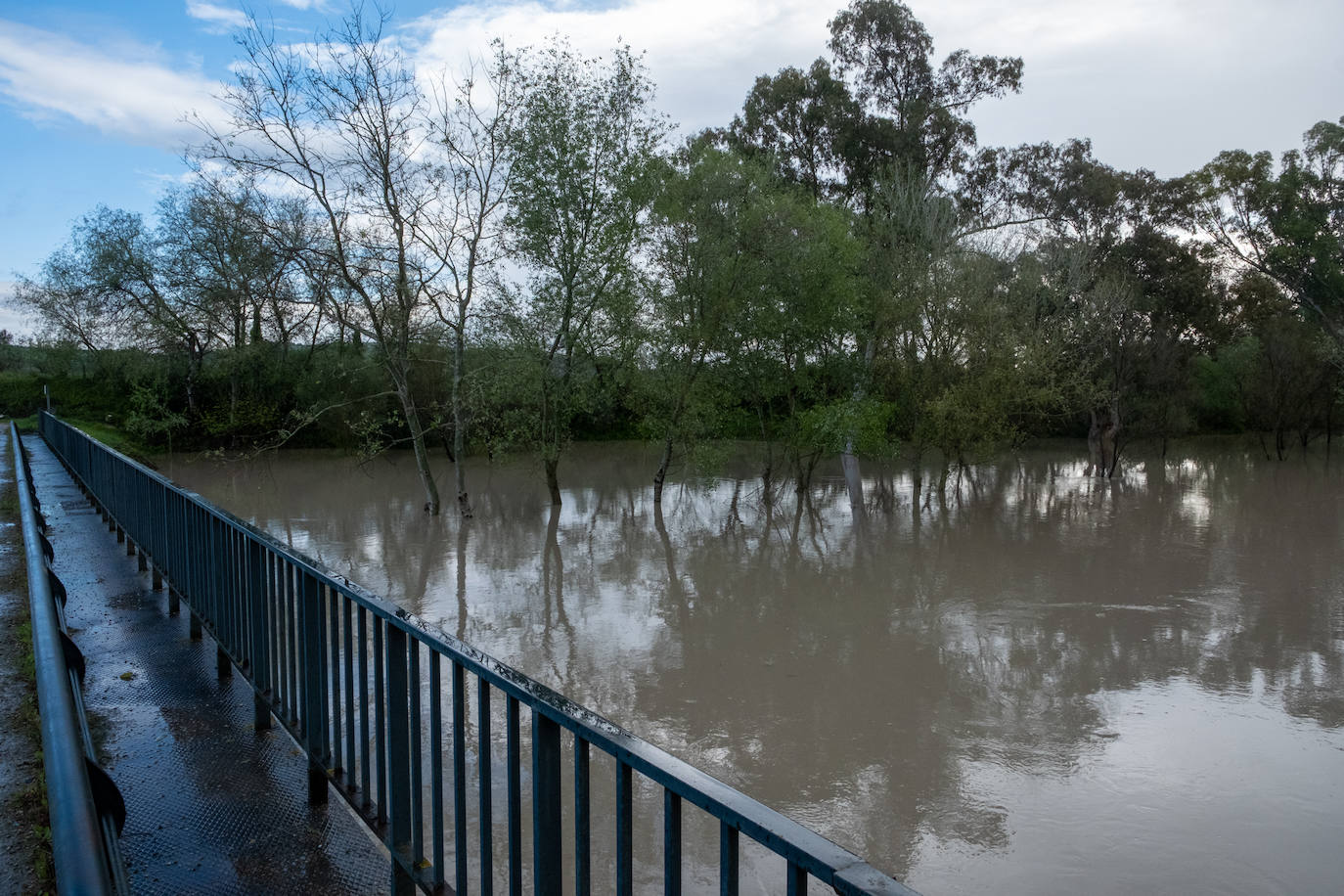 Los estragos de la borrasca Konrad, en imágenes