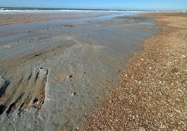 Denuncian el estado de la playa de Camposoto: «Los temporales están asolando su orilla...«