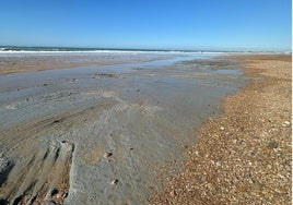 Denuncian el estado de la playa de Camposoto: «Los temporales están asolando su orilla...«