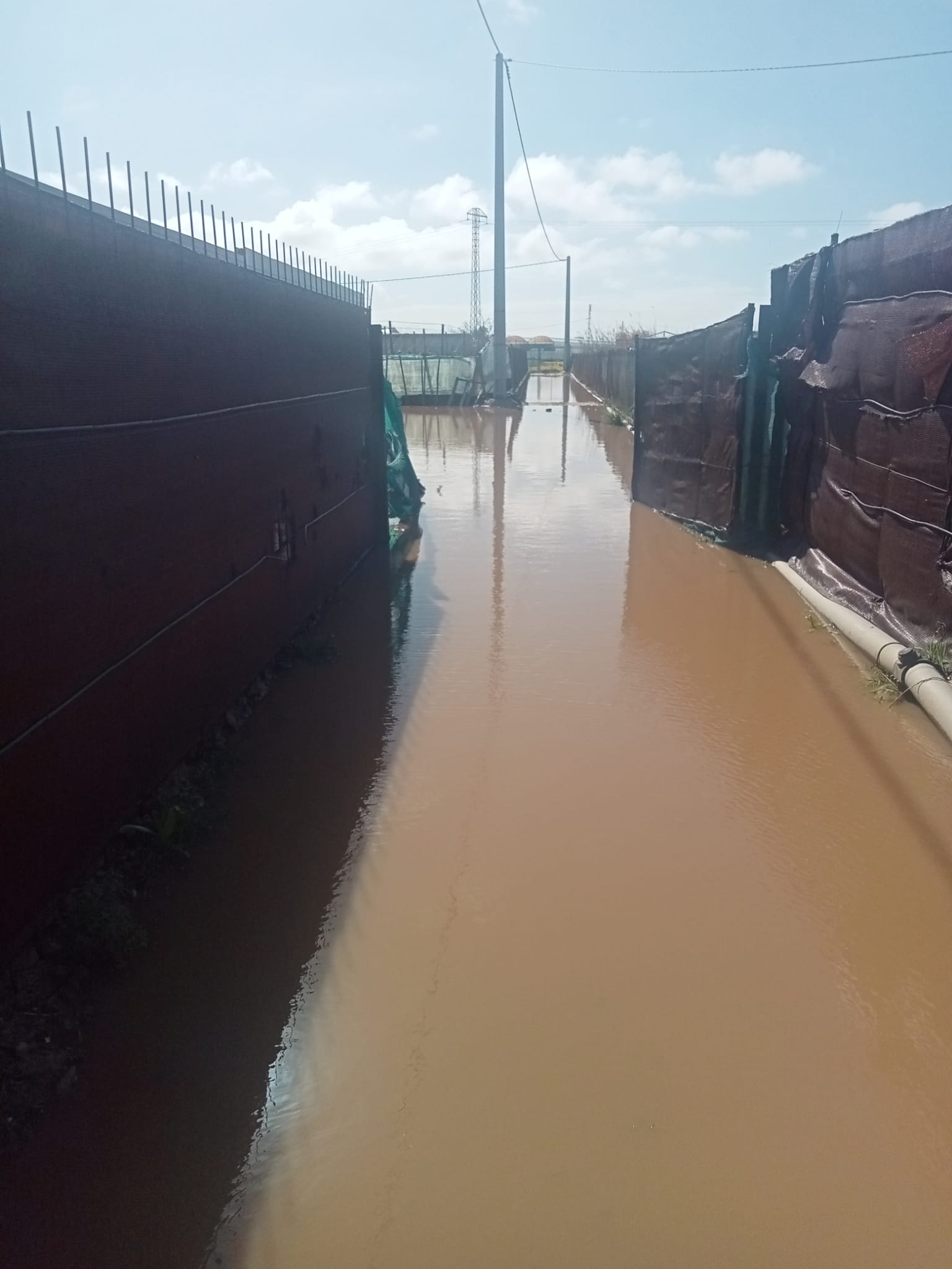 El agua cubre los cultivos de la Costa Noroeste