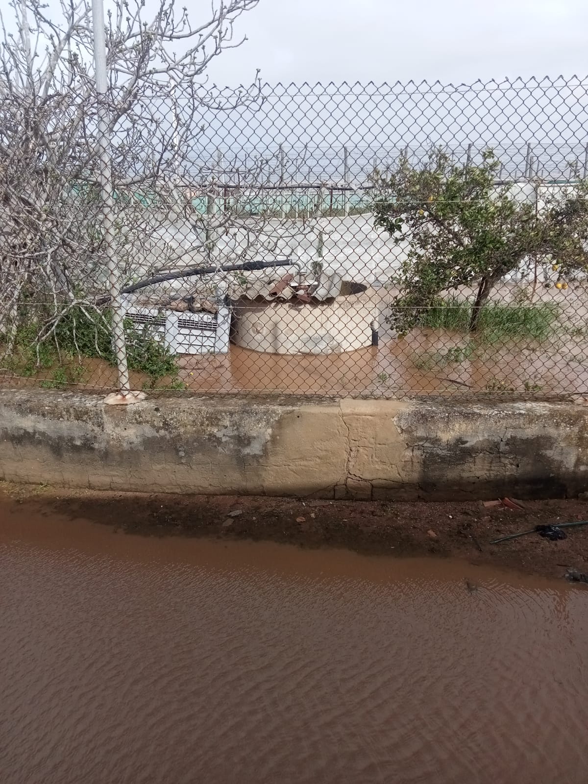 El agua cubre los cultivos de la Costa Noroeste