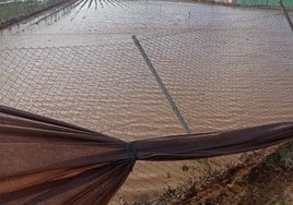 El tren de borrascas arrambla con los cultivos y los invernaderos de Chipiona