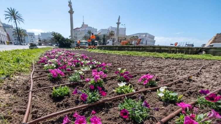 Cádiz cuenta con 9.000 flores de temporada en distintas zonas de la ciudad