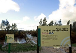 La borrasca 'Martinho' ha dejado 86 hectómetros en los pantanos de Cádiz en solo siete días