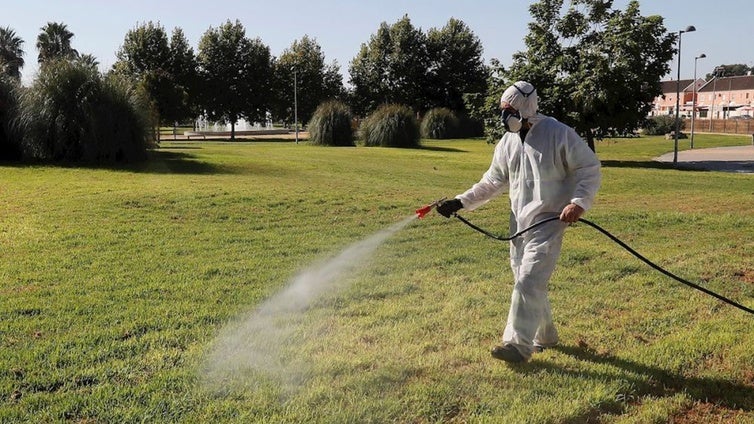 Alerta mosquitos en Cádiz: en primavera-verano, su incidencia «será alta»