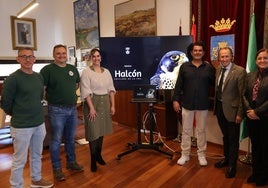 Halcones peregrinos para controlar la plaga de palomas