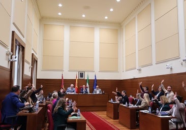 El Pleno de Chiclana reclama de forma unánime los estudios para la llegada del AVE a la Bahía de Cádiz