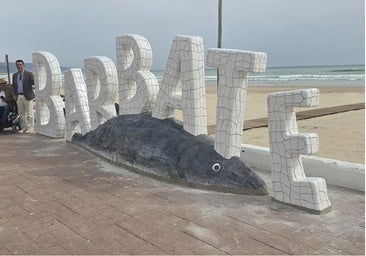 El atún-cocodrilo de Barbate que provoca risas y comentarios en las redes sociales: «Qué obra de arte, chiquillo»