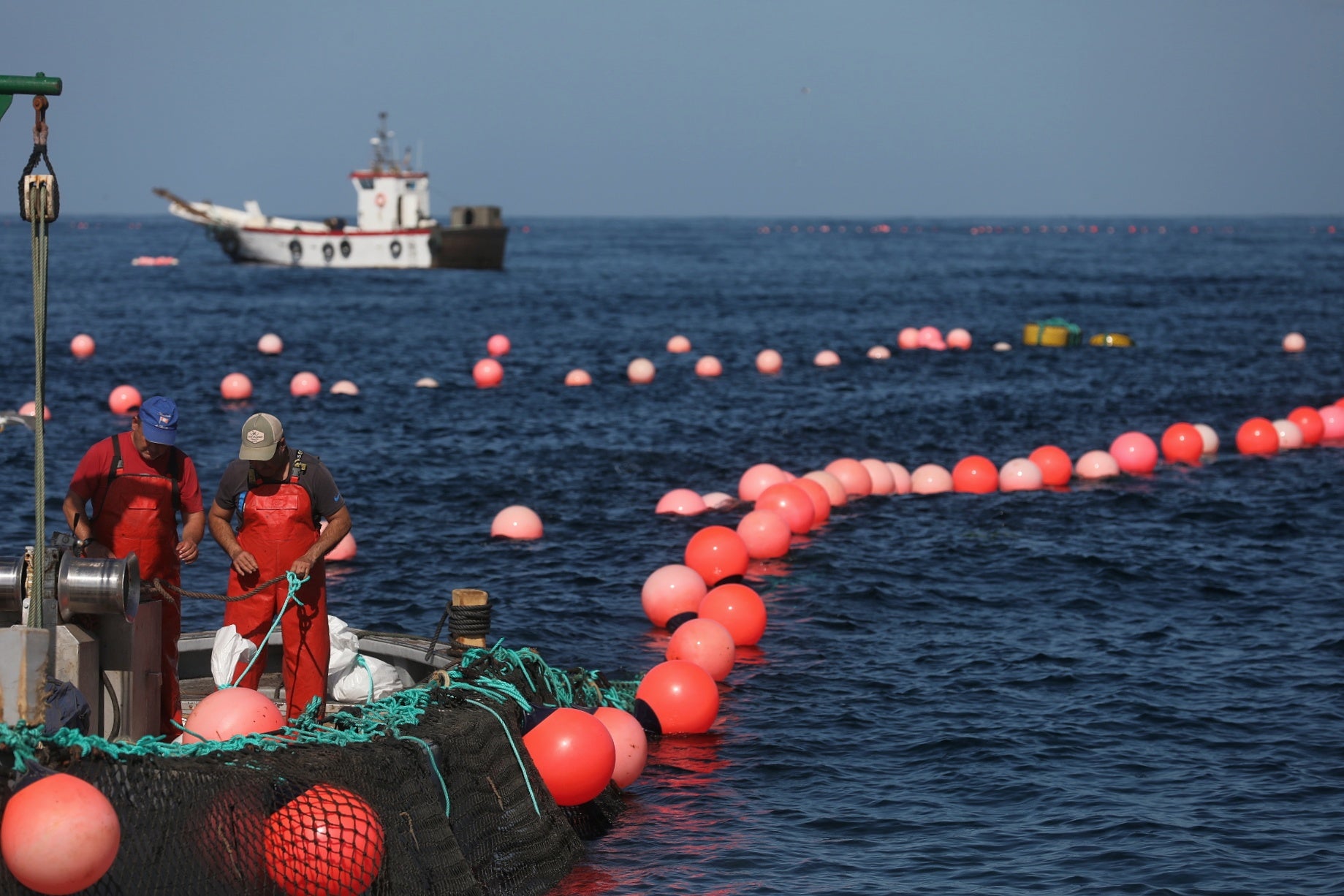 La primera levantá de atunes, en imágenes