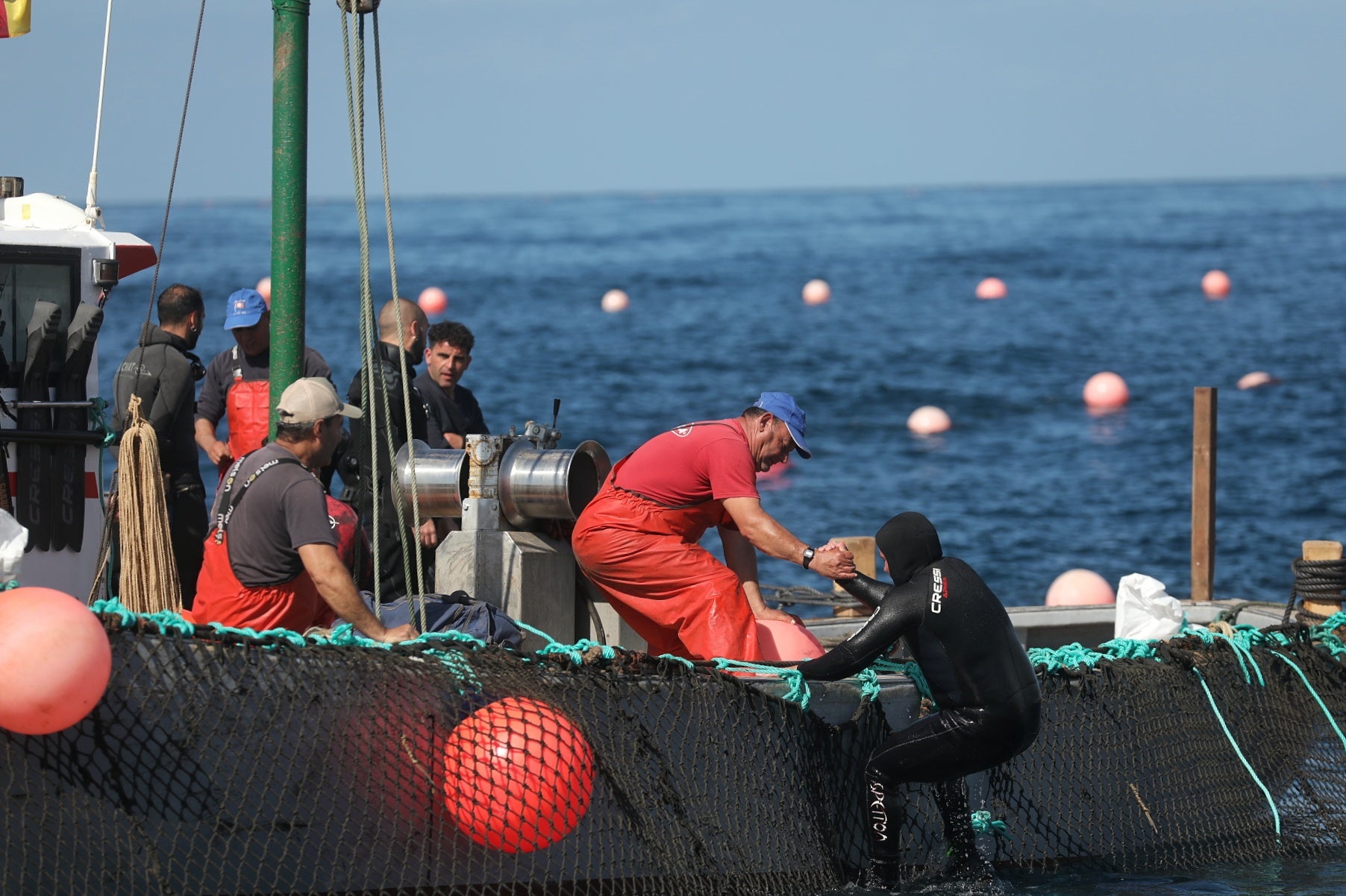 La primera levantá de atunes, en imágenes
