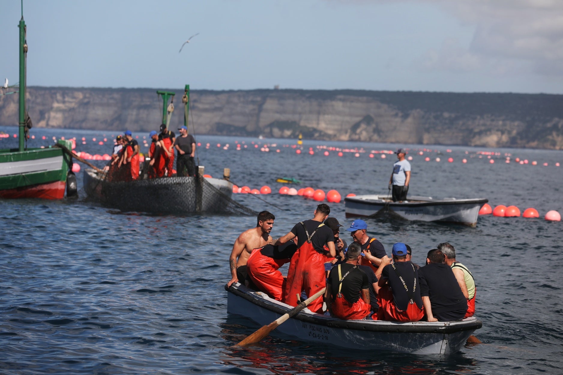 La primera levantá de atunes, en imágenes