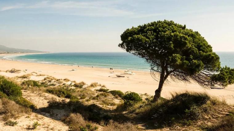 Imágen de una playa de Cádiz
