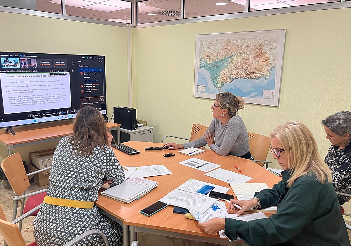 Salud explica a los municipios de Bahía de Cádiz y La Janda las medidas ante la Fiebre del Nilo según su nivel de riesgo