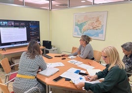 Salud explica a los municipios de Bahía de Cádiz y La Janda las medidas ante la Fiebre del Nilo según su nivel de riesgo