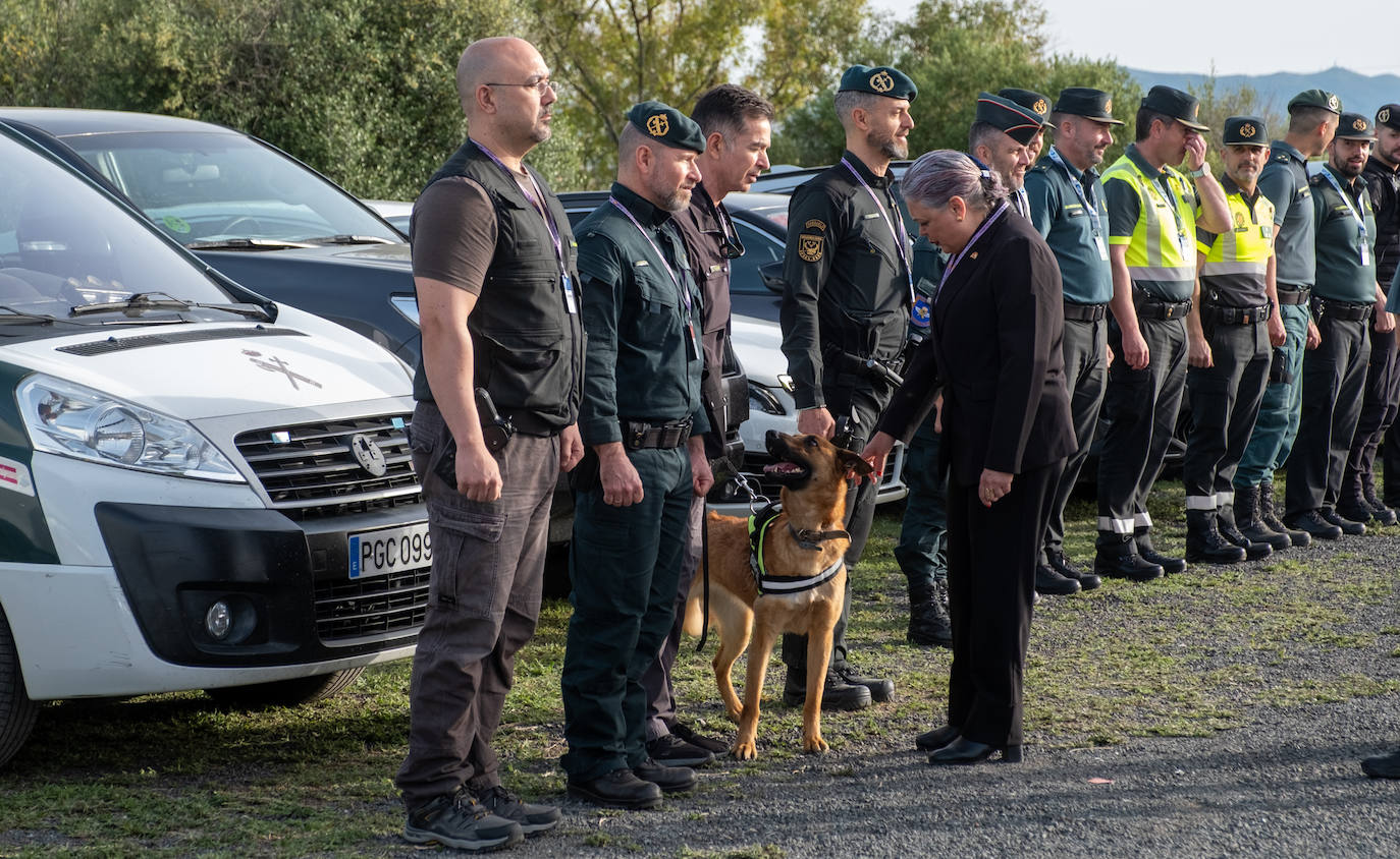 Fotos: Activación del Plan Territorial de Emergencias de Andalucía