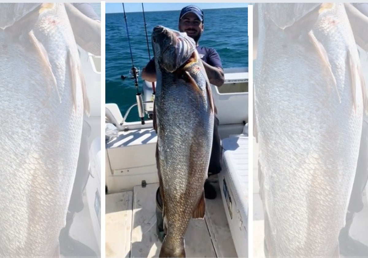 El pescador gaditano muestra orgulloso el enorme ejemplar de corvina que ha capturado