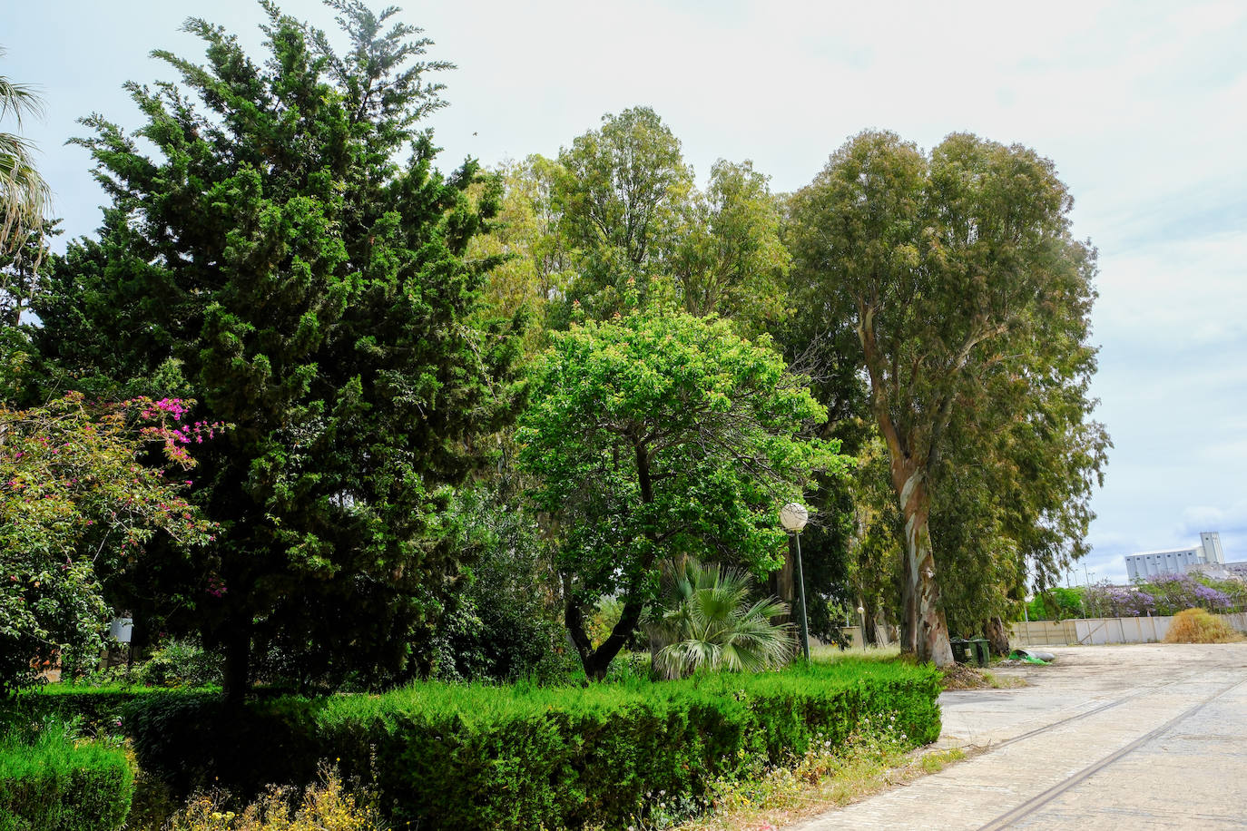 Fotos: estado actual de los Depósitos de Tabaco en Cádiz, donde se ubicará la Ciudad de la Justicia
