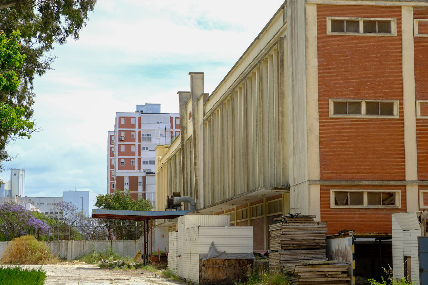 Fotos: estado actual de los Depósitos de Tabaco en Cádiz, donde se ubicará la Ciudad de la Justicia