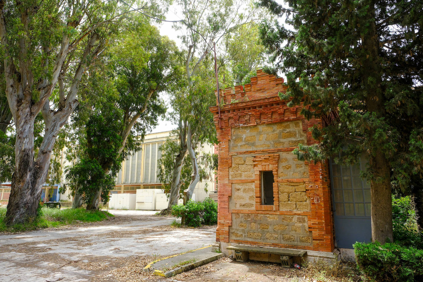 Fotos: estado actual de los Depósitos de Tabaco en Cádiz, donde se ubicará la Ciudad de la Justicia