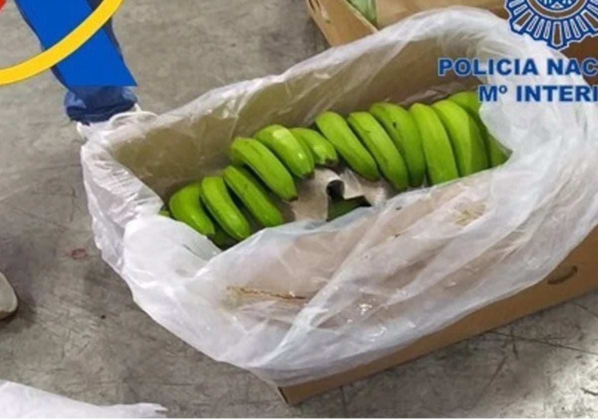 Justicia confirma la condena por un alijo de 244 kilos de cocaína camuflada en un contenedor de frutas que entró por Algeciras y se almacenó en Jerez