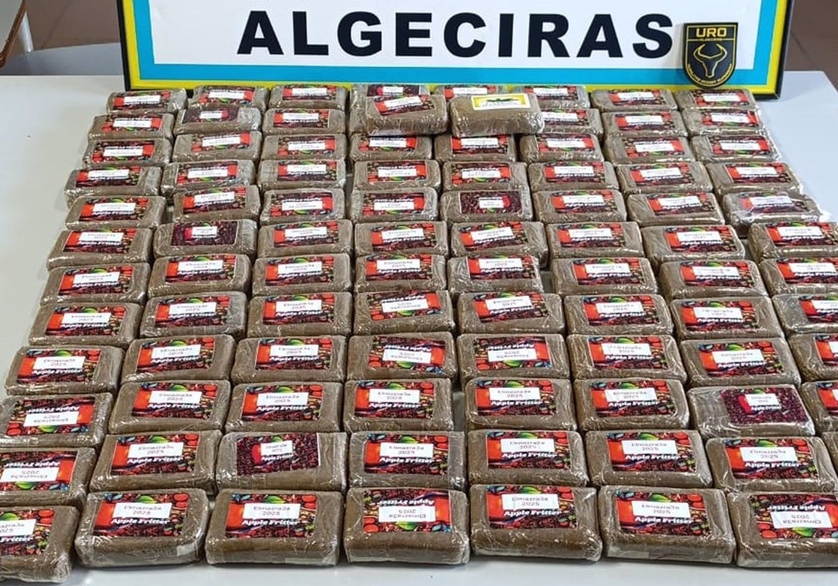 Intenta huir de la policía con 10 kilos de hachís y 2.100 euros en metálico en Algeciras
