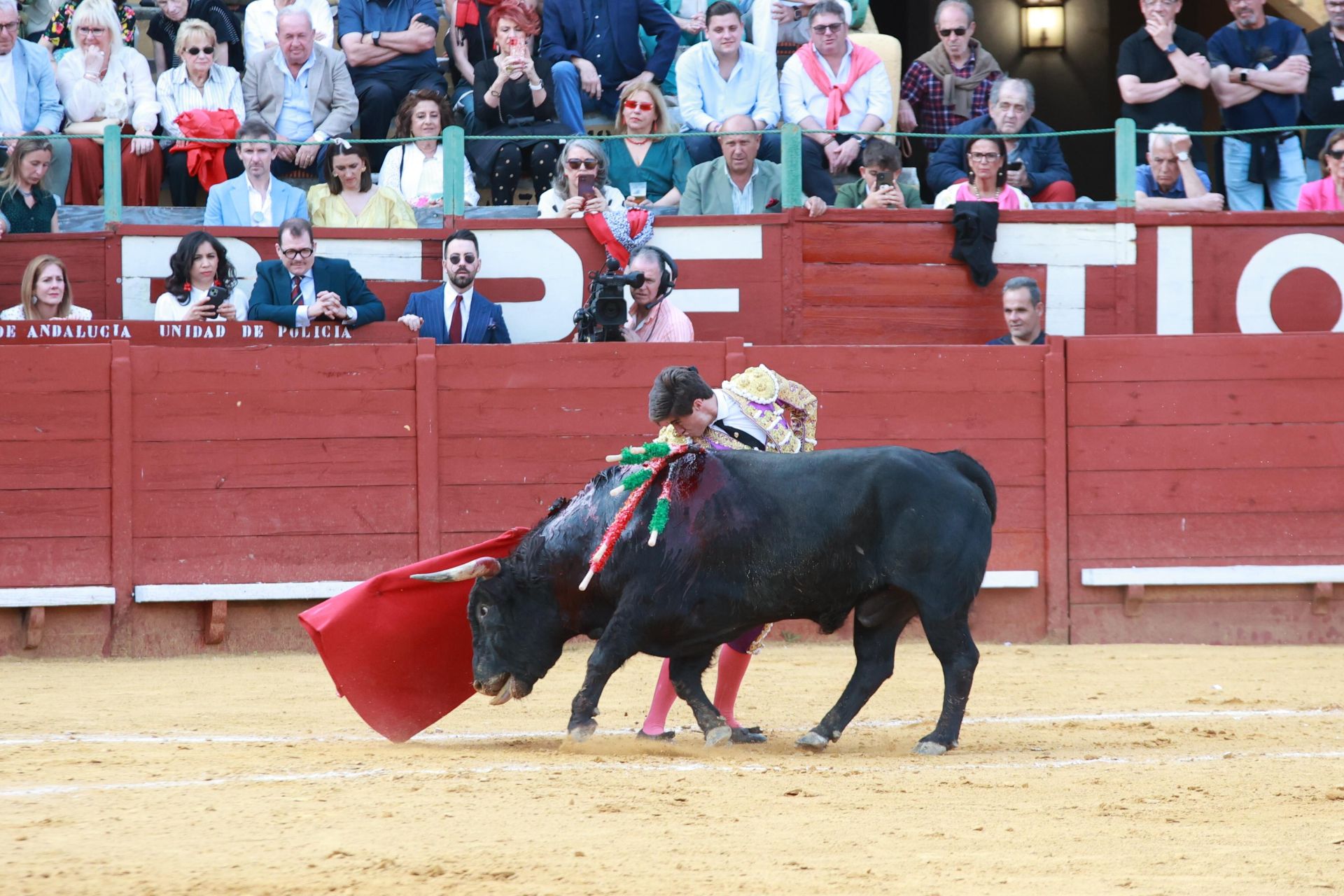 Fotos: Novillada con picadores de la Feria de Jerez 2025
