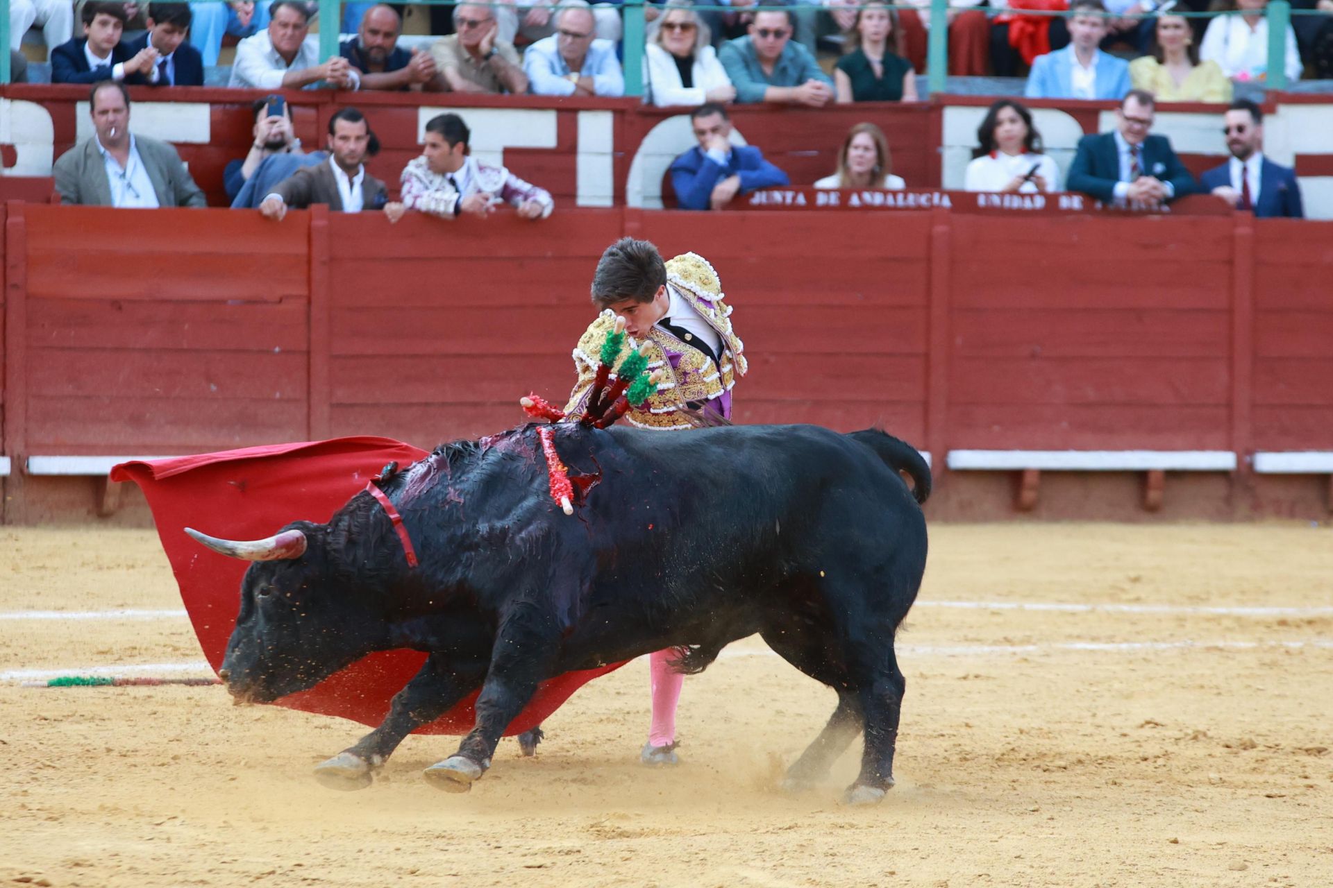 Fotos: Novillada con picadores de la Feria de Jerez 2025