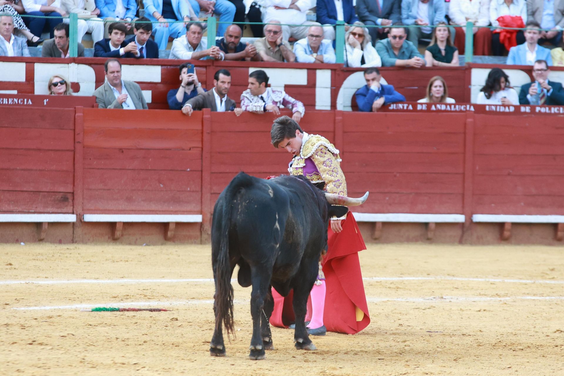 Fotos: Novillada con picadores de la Feria de Jerez 2025