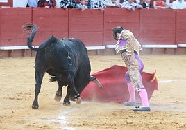 Fotos: Novillada con picadores de la Feria de Jerez 2025