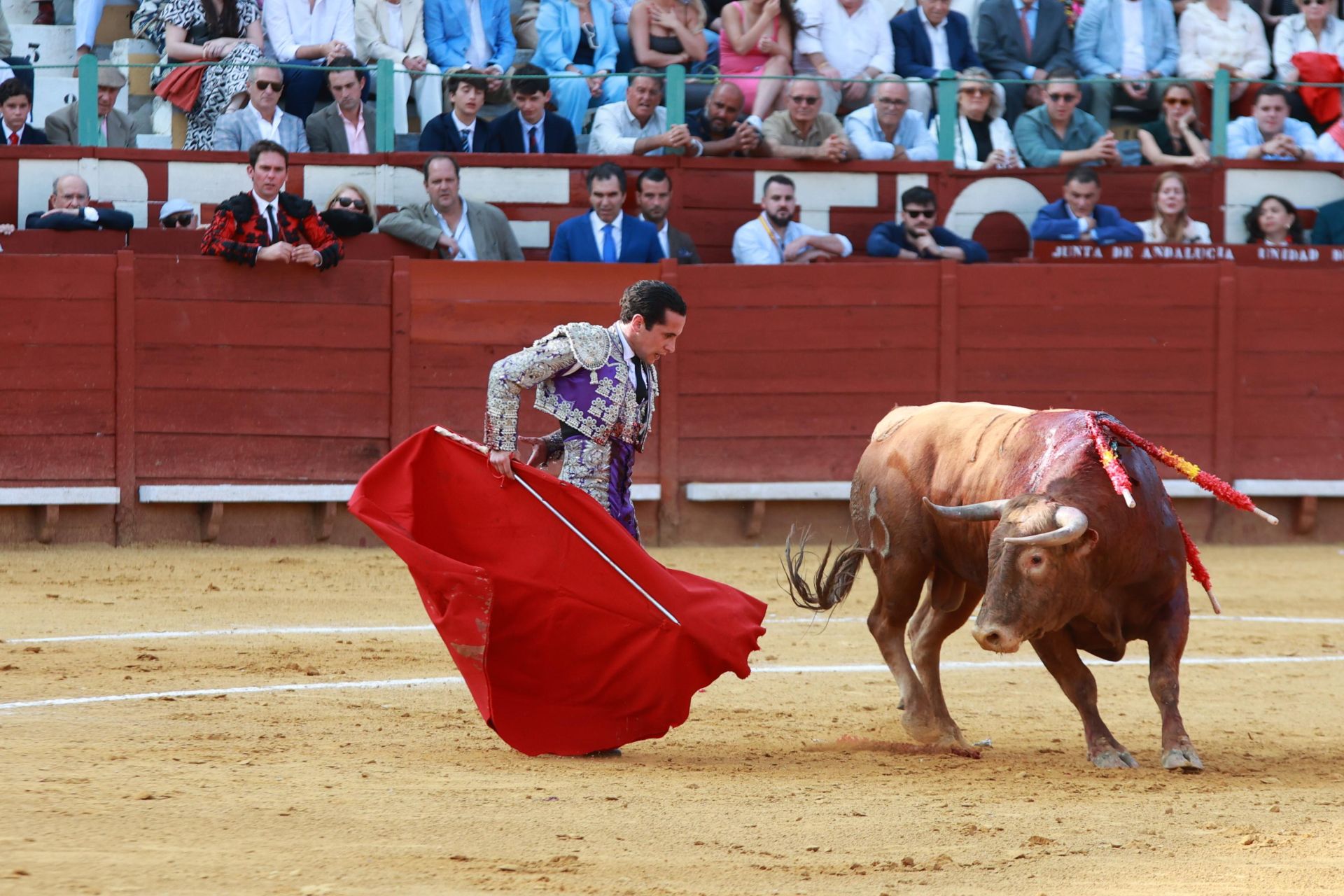 Fotos: Novillada con picadores de la Feria de Jerez 2025