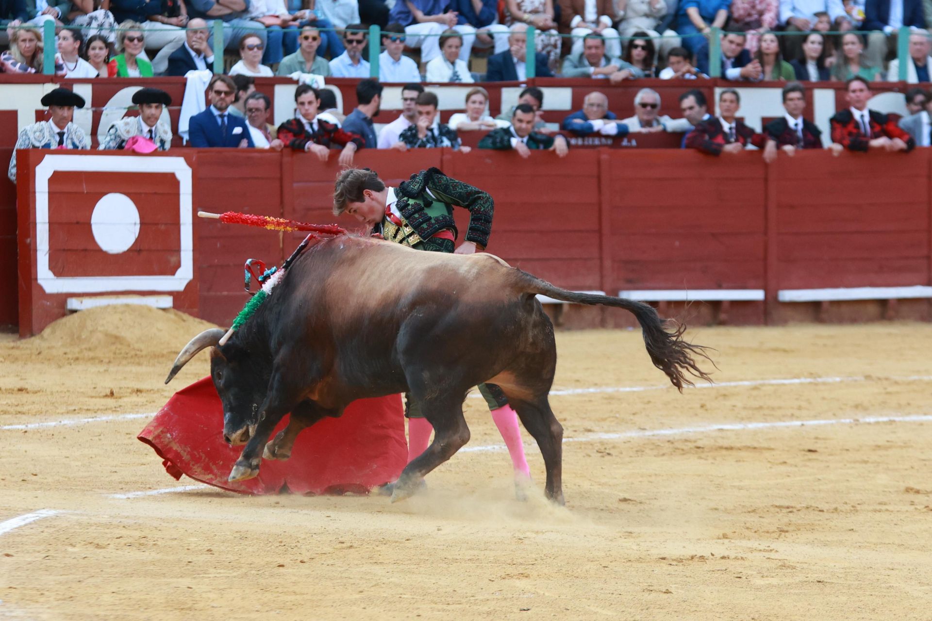Fotos: Novillada con picadores de la Feria de Jerez 2025