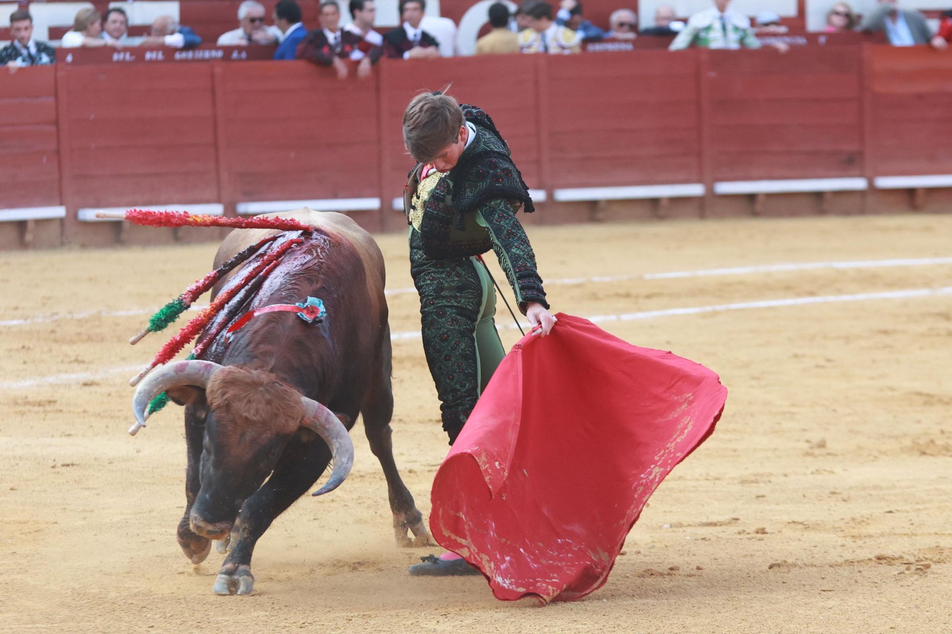 Fotos: Novillada con picadores de la Feria de Jerez 2025