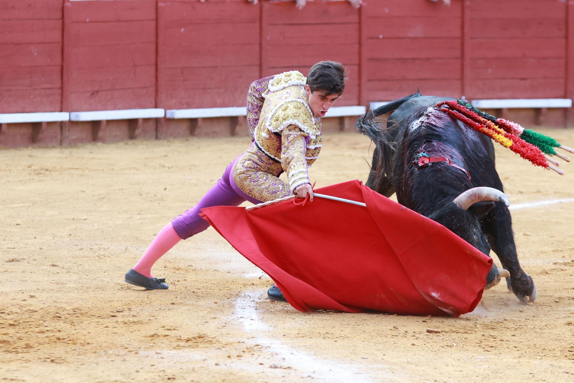 Fotos: Novillada con picadores de la Feria de Jerez 2025