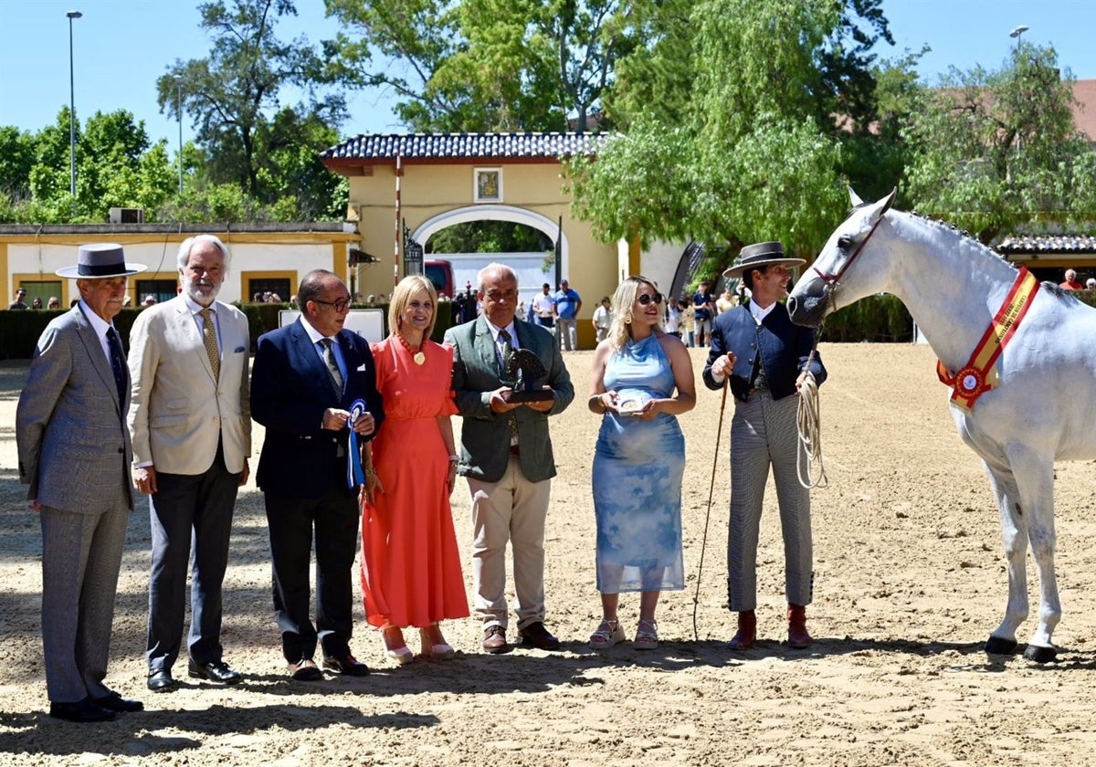 La alcaldesa entrega los trofeos al caballo Íbero y la yegua Campeona del Marengo de la Feria del Caballo.