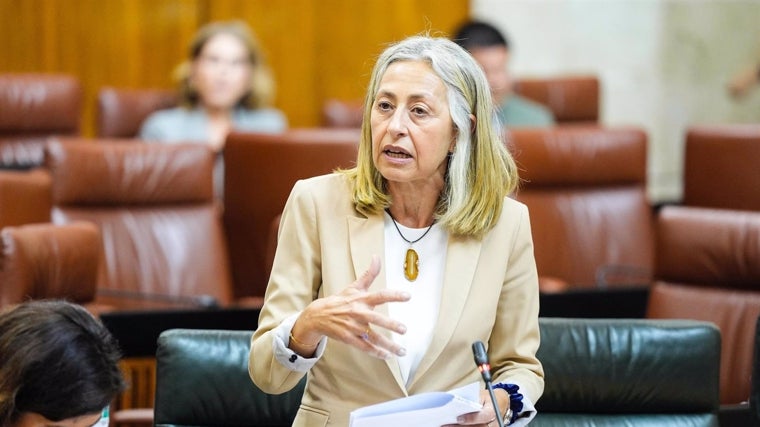 La consejera de Salud y Consumo, Rocío Hernández, en el Parlamento andaluz